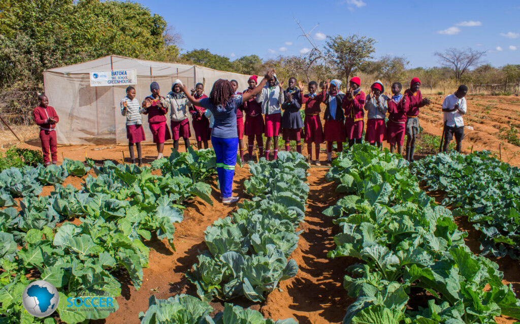 School farm construction